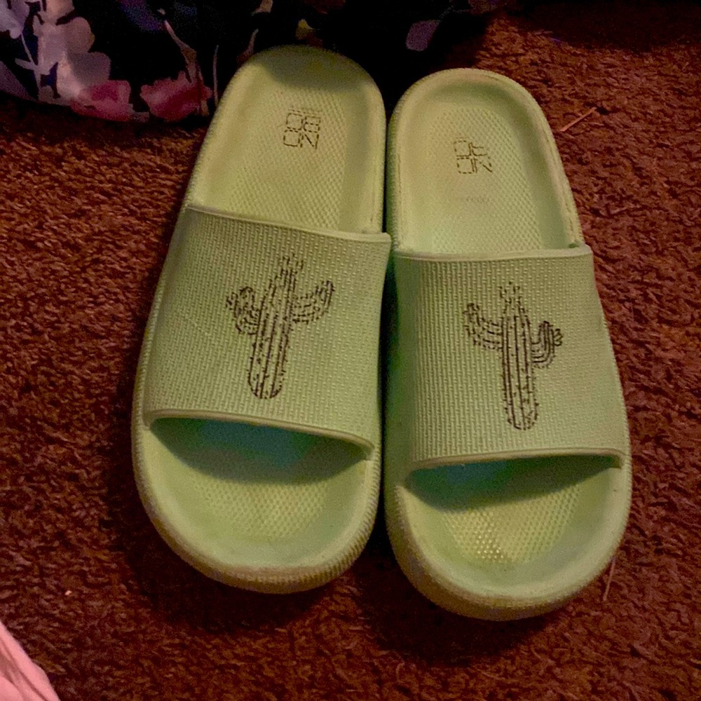 cactus slides